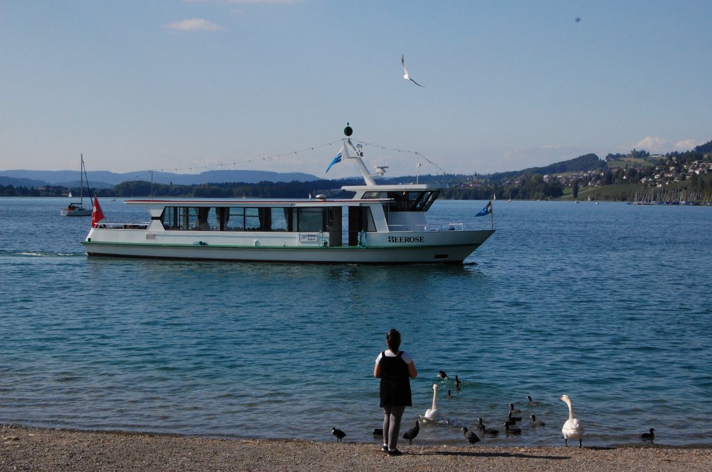 Die Seerose ist das kleinste Schiff der Hallwilerseeflotte in der Schweiz. 31.7.2011