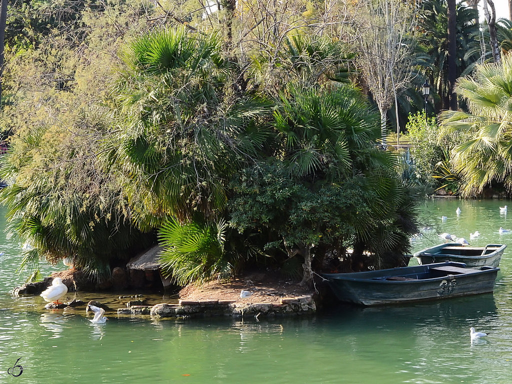 Diese zwei Ruderboote dienen wohl eher der Dekoration im Parc de la Ciutadella. Barcelona, Dezember 2011)
