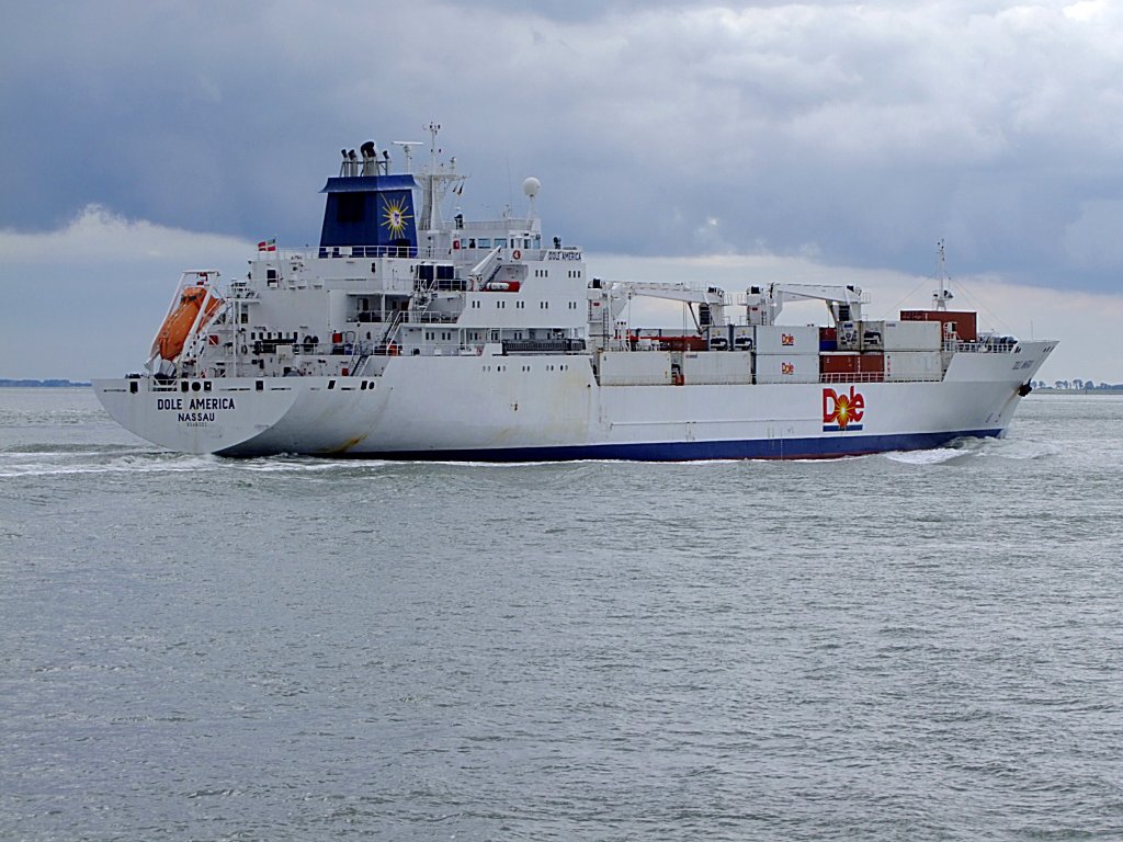 Dole America(IMO:9046502; L=150 B=28mtr.)schiebt sich auf der Westerschelde Richtug Antwerpen;110830