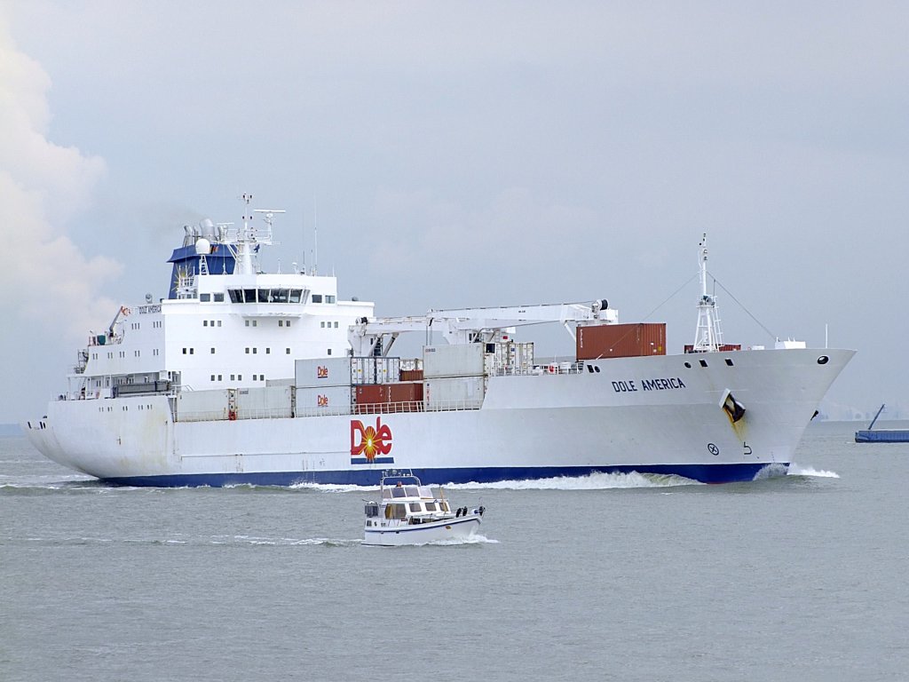 Dole America(IMO:9046502;L=150; B=28mtr)wird auf der Westerschelde Richtung Antwerpen von einem kleinen Boot begleitet;110830