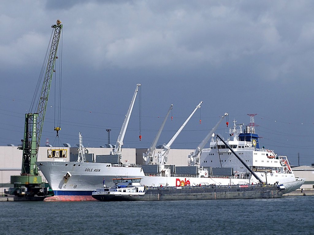 DOLE-ASIA(IMO-9046526;150x23mtr. Leergewicht;10288to) erhlt von VIRAGE(MMSI-244690994;110x12mtr)im Hafen von Antwerpen eine Lieferung Treibstoff;100830