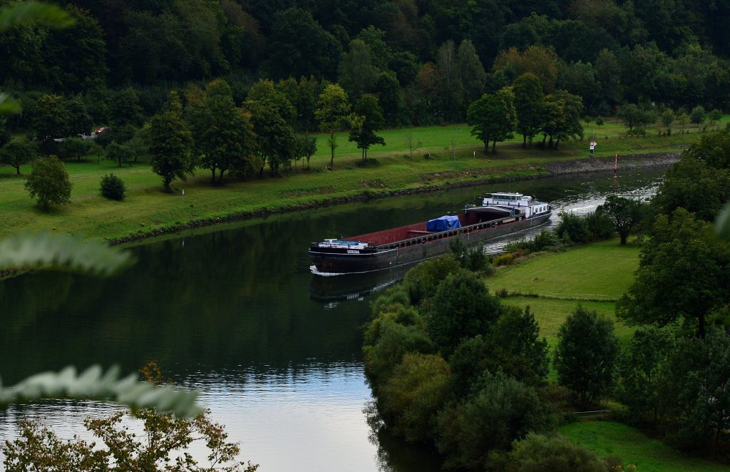 Durch den Neckarbogen bei Neckargerach / Guttenbach kommt das Motorschiff Serena mit einem MAN-Gromotor Talwrts gefahren.....am Freitag den 21.9.2012