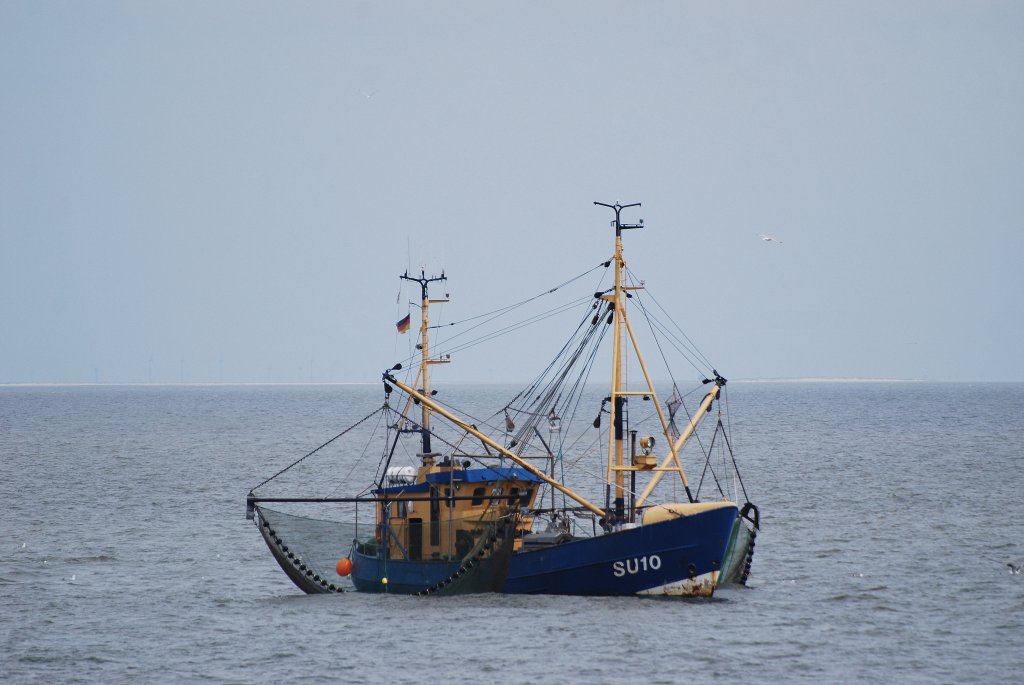Ein Kutter mit ausgebrachten Netzen auf der Nordsee am 13.06.11