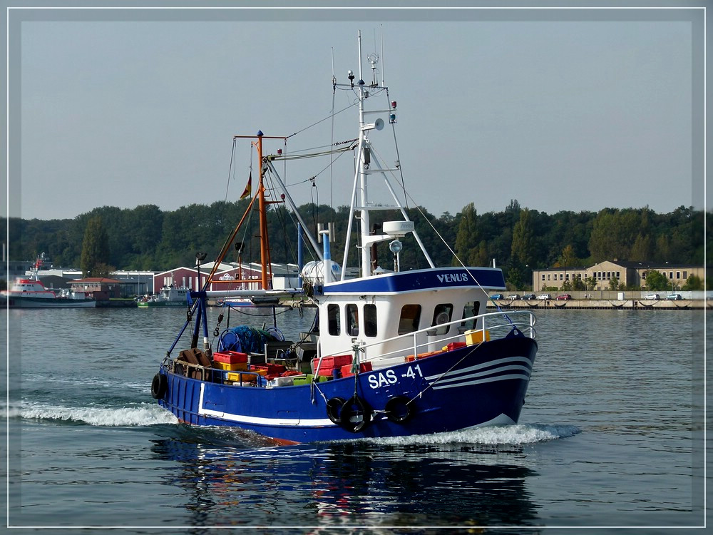 Einfahrt in den Hafen von Sassnitz des kleinen Fischerbootes  SAS 41  am 26.09.2011.