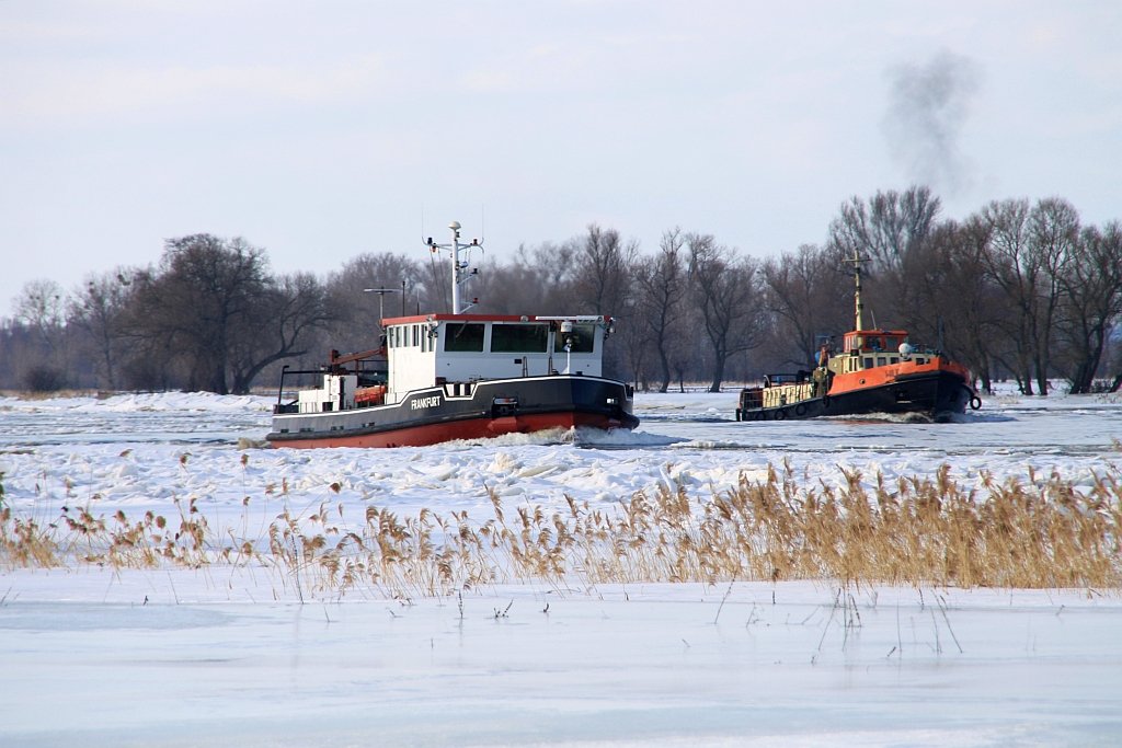 Eisbrecher Frankfurt & Wilk im Einsatz auf der Oder bei Gstebieser Loose am 21.02.2010