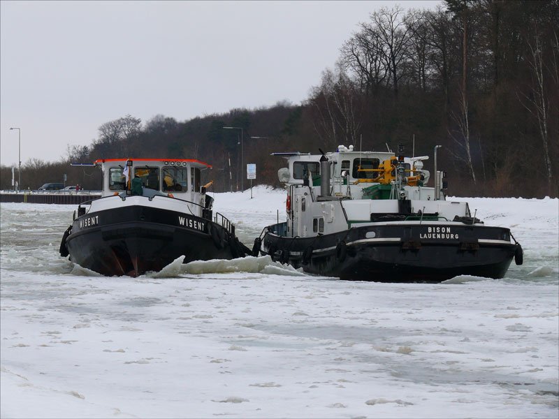 Eisbrecher WISENT, Geesthacht und BISON, Lauenburg beim Eisaufbruch auf dem Elbe-Seitenkanal; 23.02.2010
