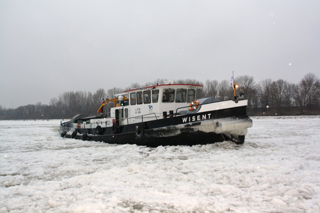 Eisbrecher Wisent  WSA Lauenburg in Hamburg auf der Sderelbe bei Altenwerder im Einsatz.Foto 08.02.2012