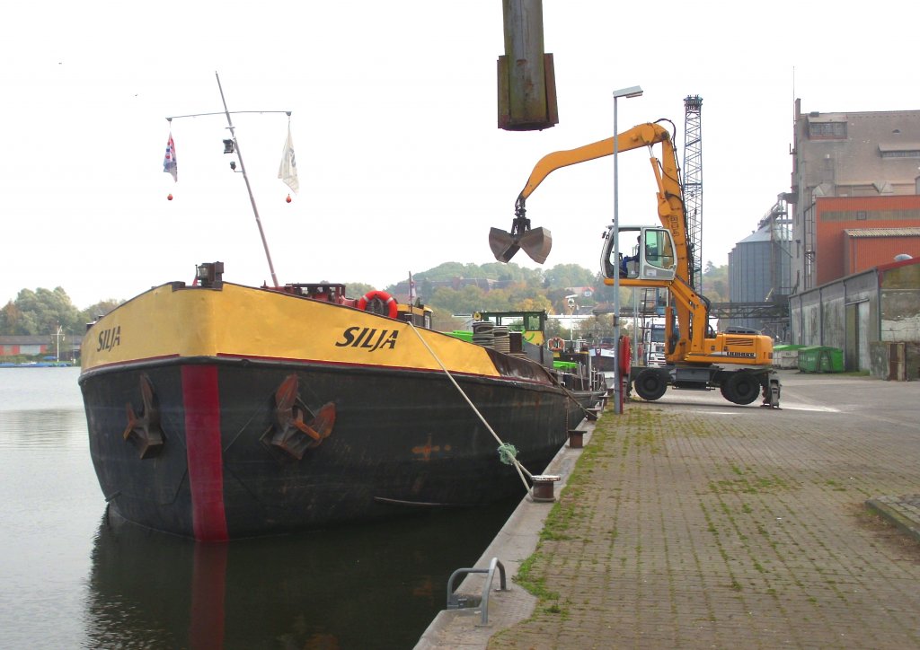 ELK, Hafen Mlln, das tschech. GMS SILJA ENI 8451015, liegt am Getreidesilo in Mlln. Der geladene Raps wird gleich auf LKW verladen... Aufgenommen: 17.10.2011