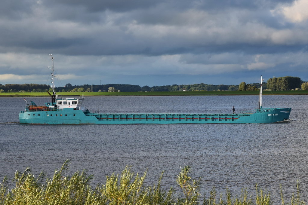 ELVI KULL , General Cargo , IMO 7819864 , Baujahr 1979 , 62.47 × 9.42m , 09.09.2017 Grünendeich