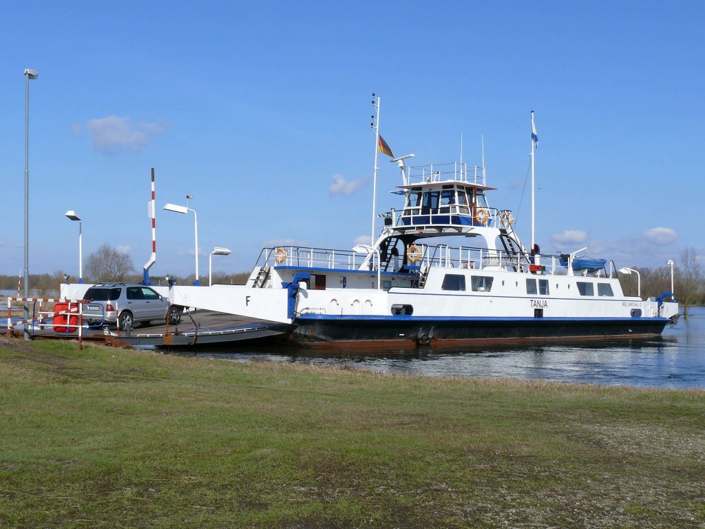 Fhre TANJA (ex Waal, ex Wijkse Veer) Baujahr 1959, Lnge 46m, Breite 12m, diese Doppelendfhre verkehrt zwischen  Neu Darchau im Landkreis Lchow-Dannenberg und Darchau im Amt Neuhaus, Landkreis Lneburg (hier ist beidseitig der Elbe Niedersachsen) und kann bis zu 21 PKW transportieren; 22.03.2010 am linken Elbufer
