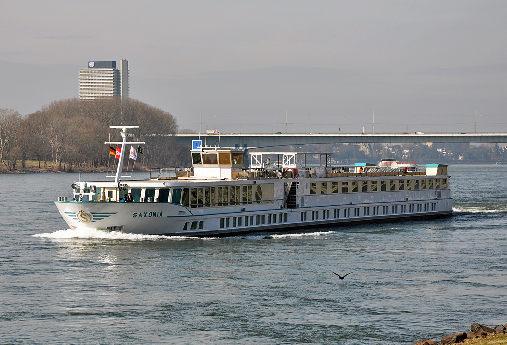 FGS  Saxonia  auf dem Rhein bei Bonn-Oberkassel - 06.03.2013