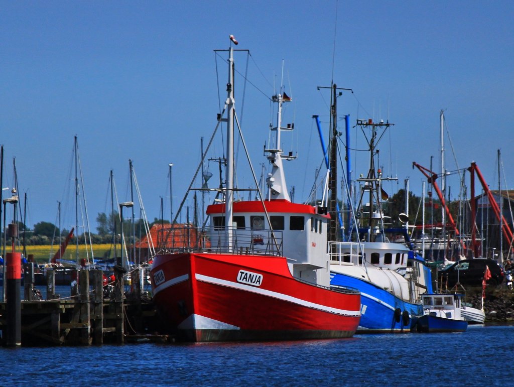 Fischereifahrzeug  Tanja  am 06.06.2013 im Hafen von Heiligenhafen.