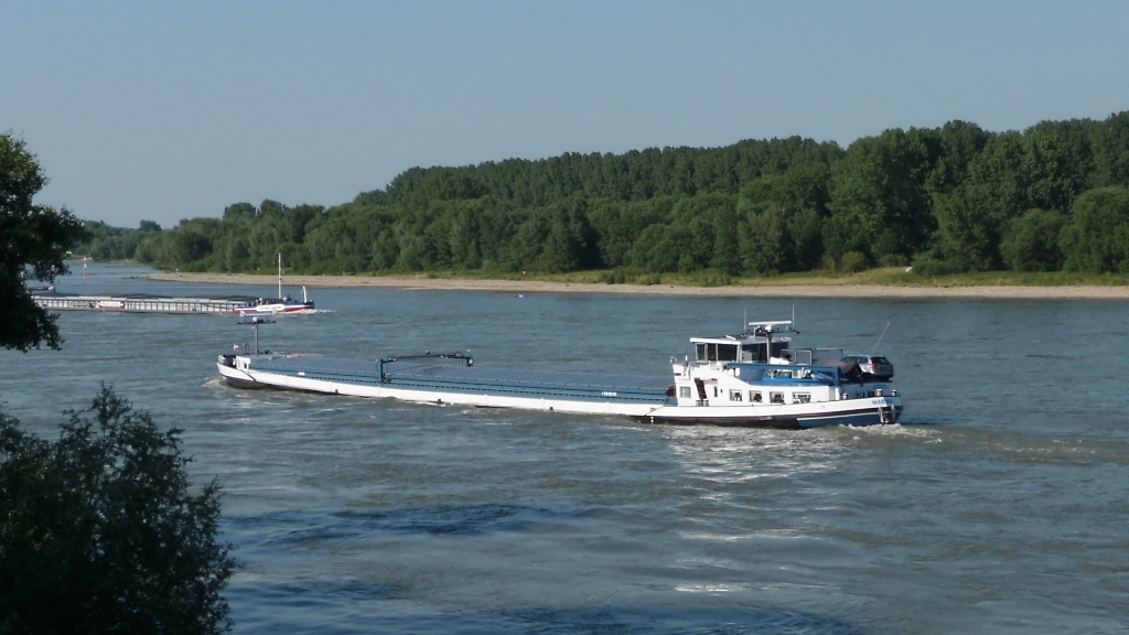 Frachtschiff  Mariska  Rhein-abwärts unterwegs am Himmelgeister Rheinbogen, 26.6.2010