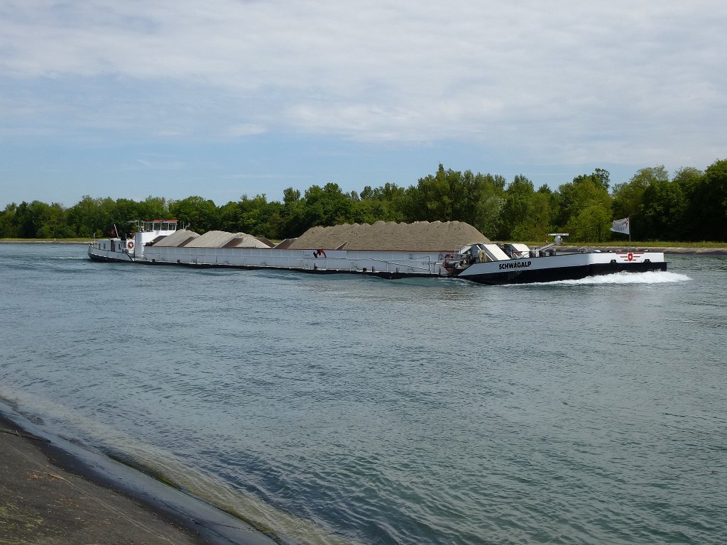 Frachtschiff  Schwgalp , vollbeladen rheinaufwrts vor Kembs, fhrt unter Schweizer Flagge, gebaut 1972 in Holland, Mai 2013