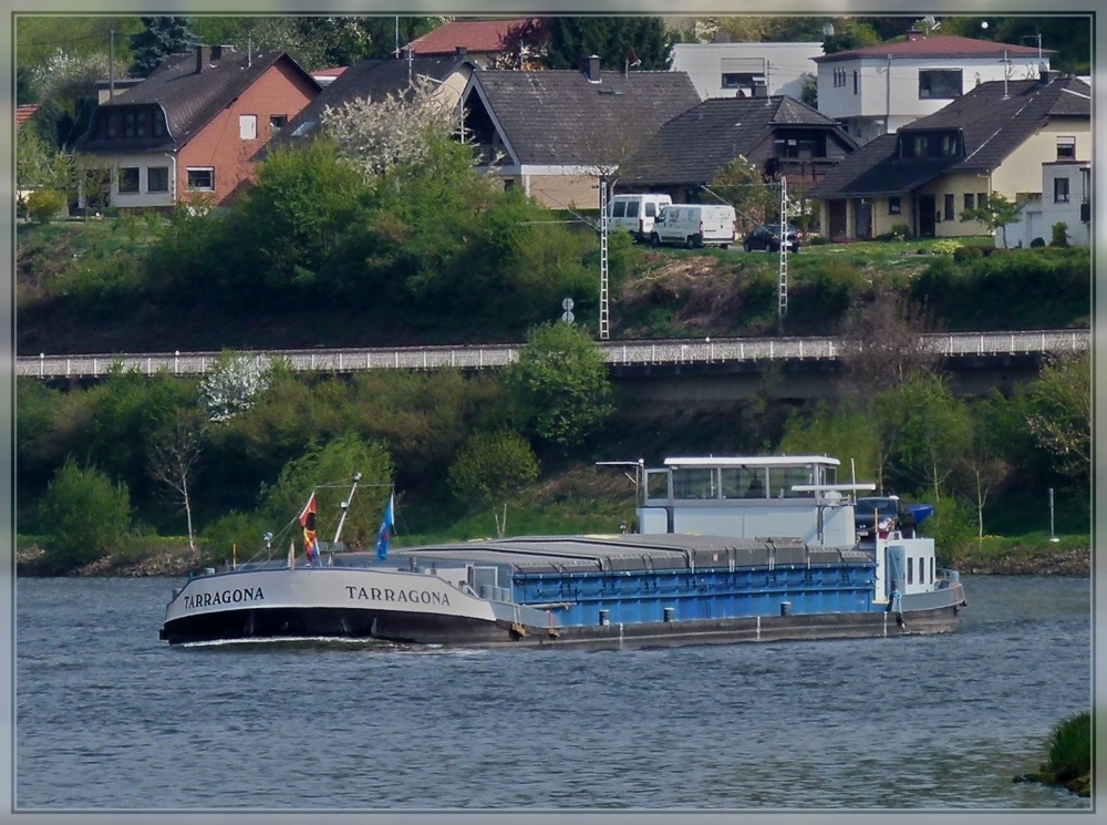 Frachtschiff  TARRAGONA  Bj 1961, Euronr 06003477, L 85m, B 9,05m, 1509t, gesehen auf der Mosel bei Oberbillig am 17.04.2011. 