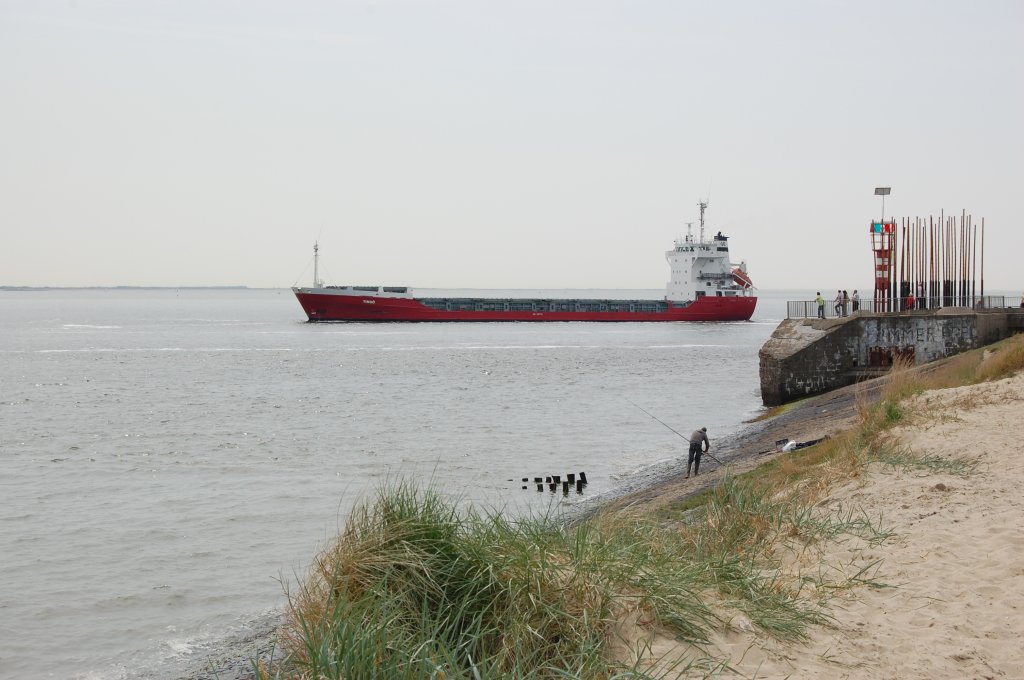 Gerade passiert die MS Tingo von Norden kommend das Nollehoofd um in die Westerschelde ein zu fahren. 4.5.2008