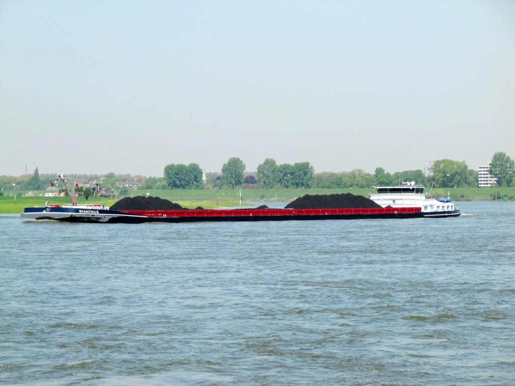 GMS Dianthus , 06003885 , 135 x 14,20 , am 06.05.2013 auf dem Rhein bei Duisburg zu Berg.