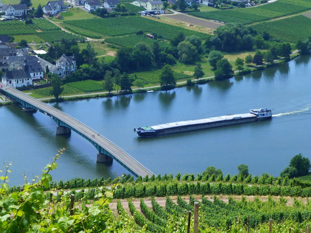 GMS Eureka, moselabwrts bei Piesport im Landkreis Bernkastel-Wittlich in Rheinland-Pfalz, von der Panoramastrasse K52 Minheim-Piesport aus gesehen, 14.07.2013