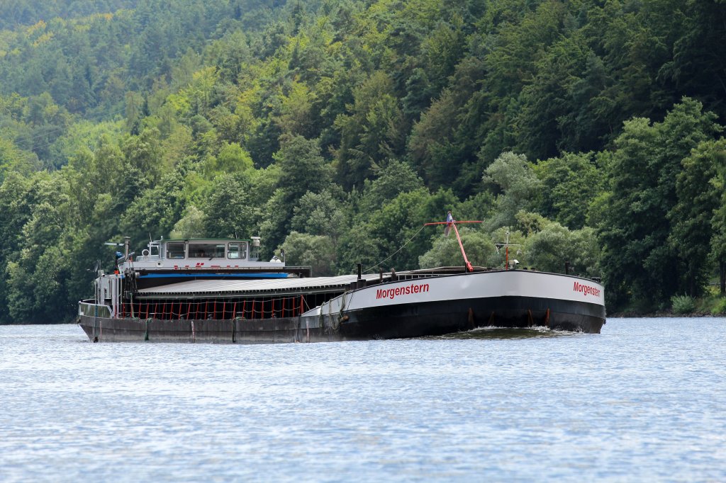 GMS  MORGENSTERN  , 04605430 , 105 x 11 , am 30.07.2013 bei Langenprozelten auf dem Main zu Tal. 