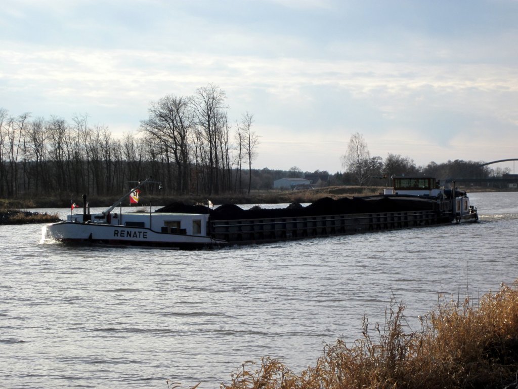 GMS Renate , 80 x 8.2 , 04600400 , am 03.03.2012 im EHK zu Berg zw. Kader Schleuse und Schleuse Wusterwitz