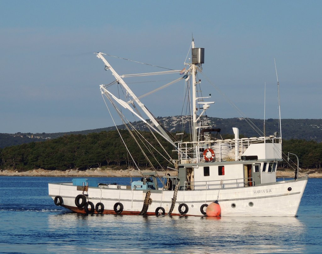 HARINGA; L=18m; Weight: 50GT; erreicht das Hafengebiet von Biograd; 130523