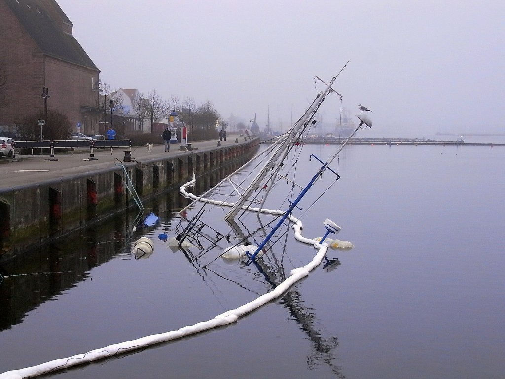 Hier liegt der Traditionskutter  Vagel Grip , in ca. 5-6 Meter Tiefe auf Grund, im Rostocker Stadthafen.
Gesunken ist der Kutter innerhalb eines halben Jahres zum zweiten mal! 
Was sich wohl die Mwe dabei denkt....