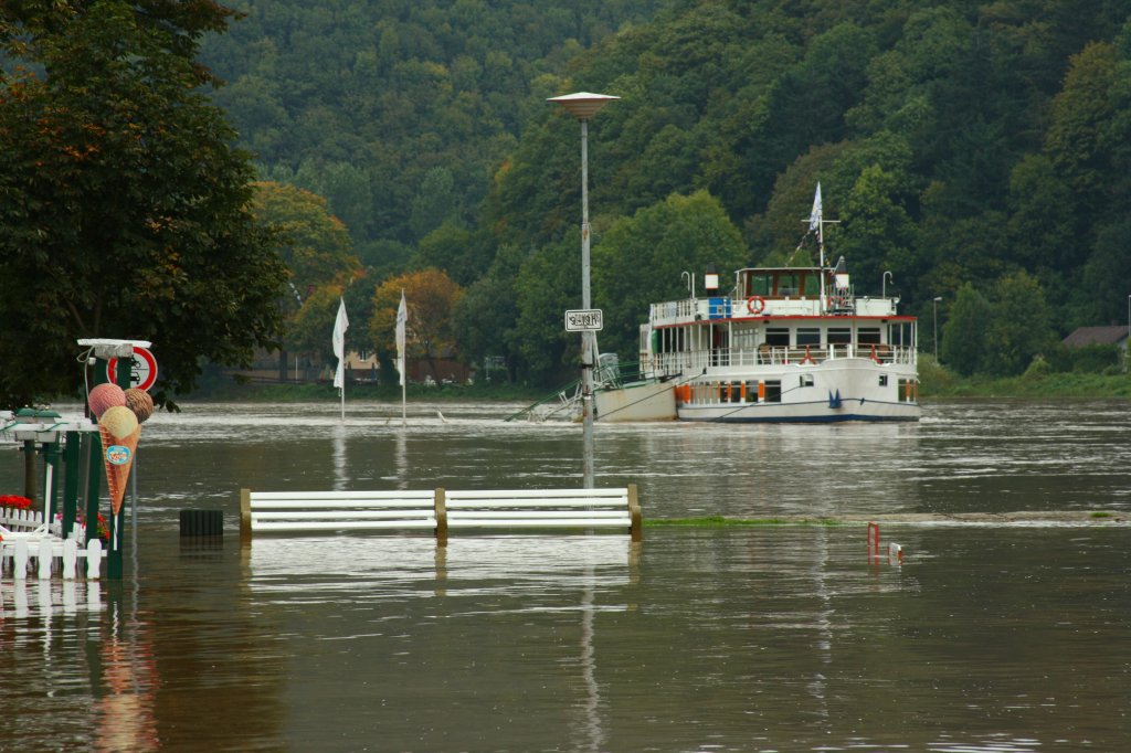 Hochwasser auf der Weser in Bodenwerder. Das Schiff ist die KARLSHAFEN aus Hameln von der weissen Flotte: September 2007