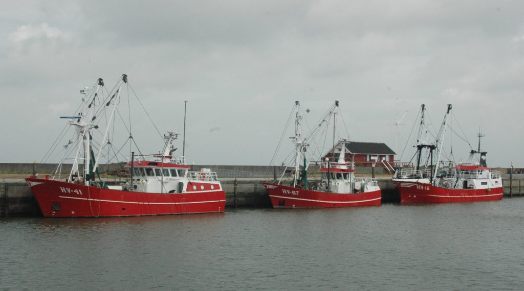 Im Hafen von Havneby/Dnemark am 19.07.2011 haben drei Krabbenkutter festgemacht