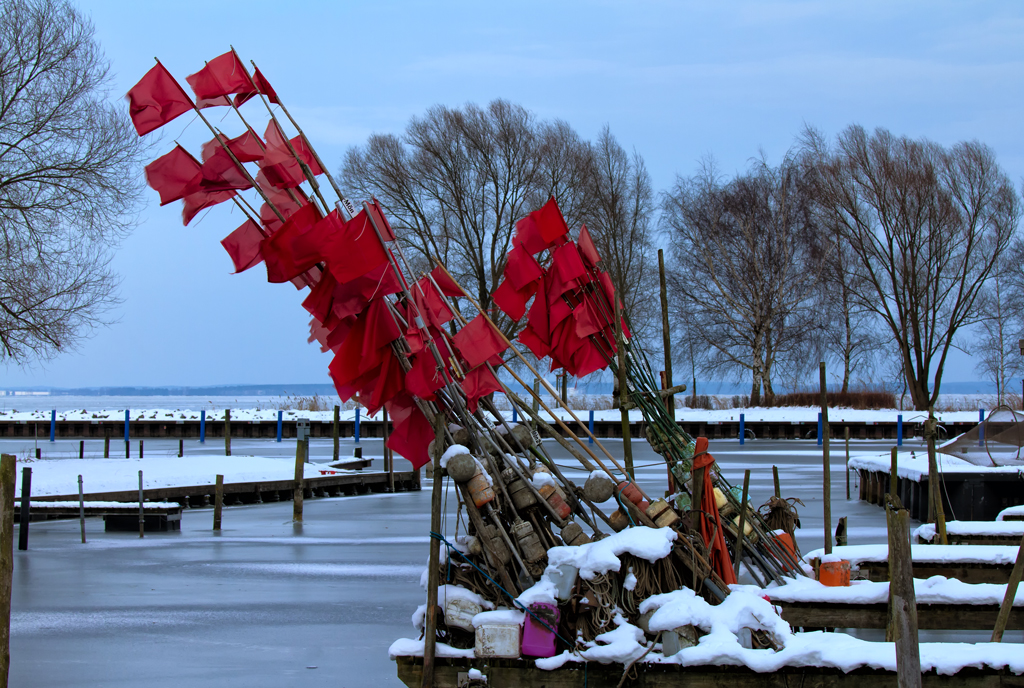 Im vereisten Fischer-& Yachthafen von Mnkebude herrscht ghnende Leere, nur die Reusenfahnen flattern im Wind. - 19.01.2013