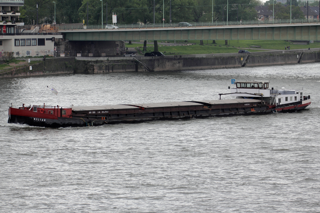  KILIAN  auf dem Rhein in Kln 20.5.2013