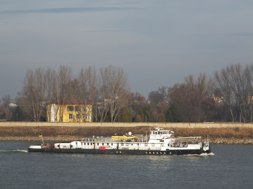 Krasnodon an Donau bei Komrom, am 22. 12. 2010. 