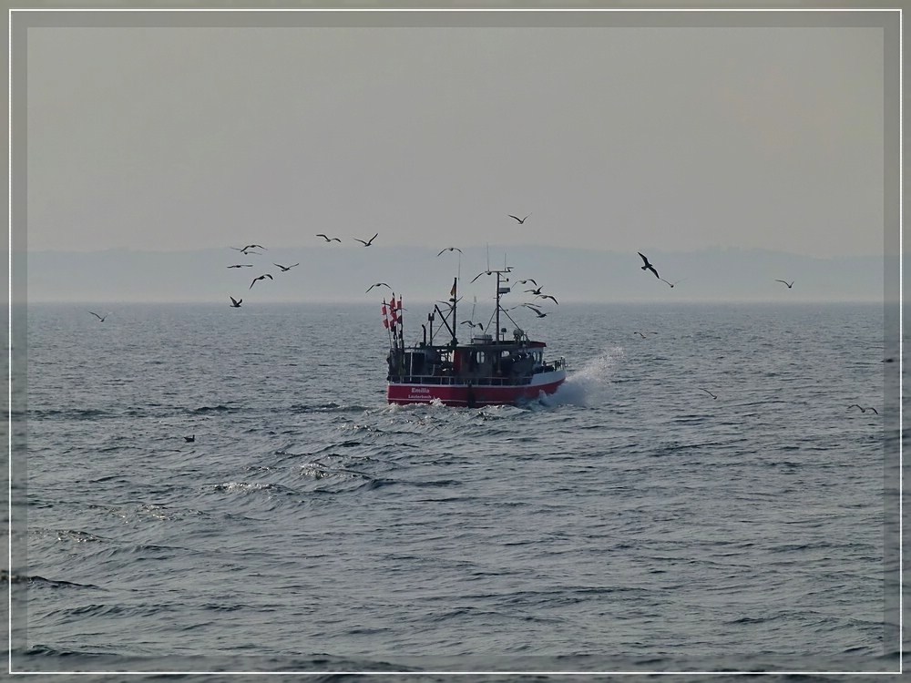 Kurz bevor das kleine Fischerboot  EMILLIA  mit dem Gefolge den Hafen von Sassnitz ansteuerte habe ich es auf dem Chip festgehalten. 26.09.2011 