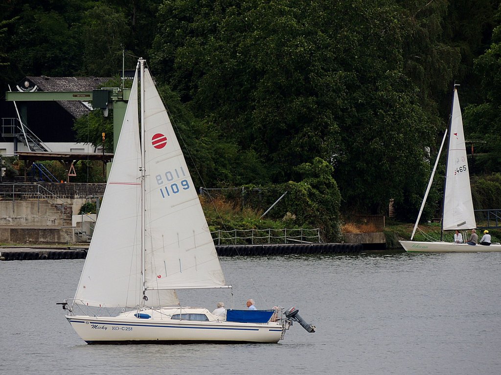 Micky KO-C251, sowie  Schwan  im Hintergrund nutzen die Winde im Bereich der Moselmndung bei Koblenz; 120828