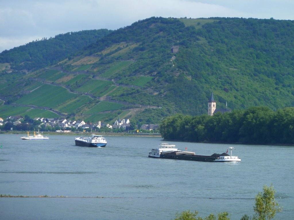 Mittelrhein, von rechts nach links:  Rubicon ,  Shandy , Fhre Lorch-Niederheimbach, im Hintergrund: Lorch, 26.06.2011
