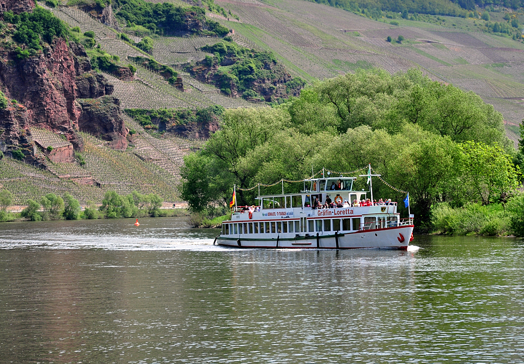 Motorschiff  Grfen Loretta  auf der Mosel bei rzig - 14.05.2012