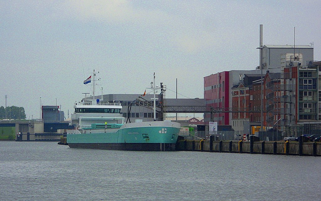 MS ANNIKA BENITA (NL) IMO 9279032, die Lschung der aus Finnland mitgebrachten Haferladung hat umgehend begonnen...  Aufgenommen: 7.6.2012