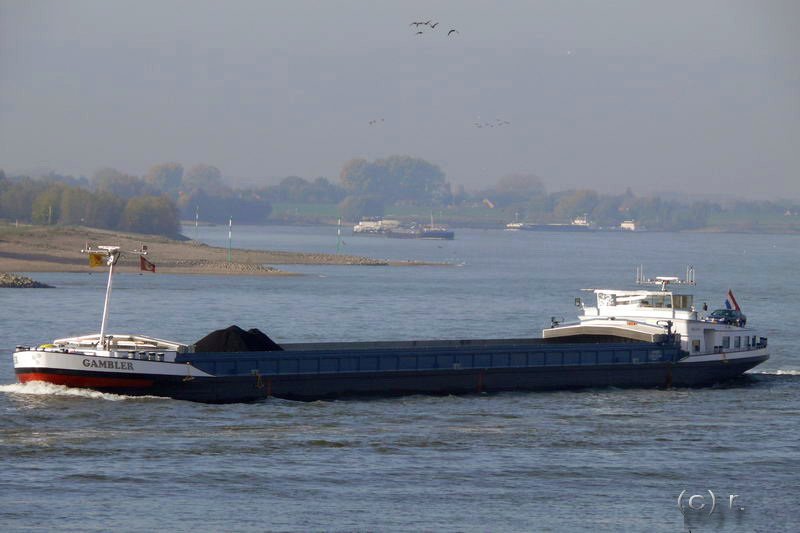 MS  Gambler  von Rotterdam auf dem Niederrhein.