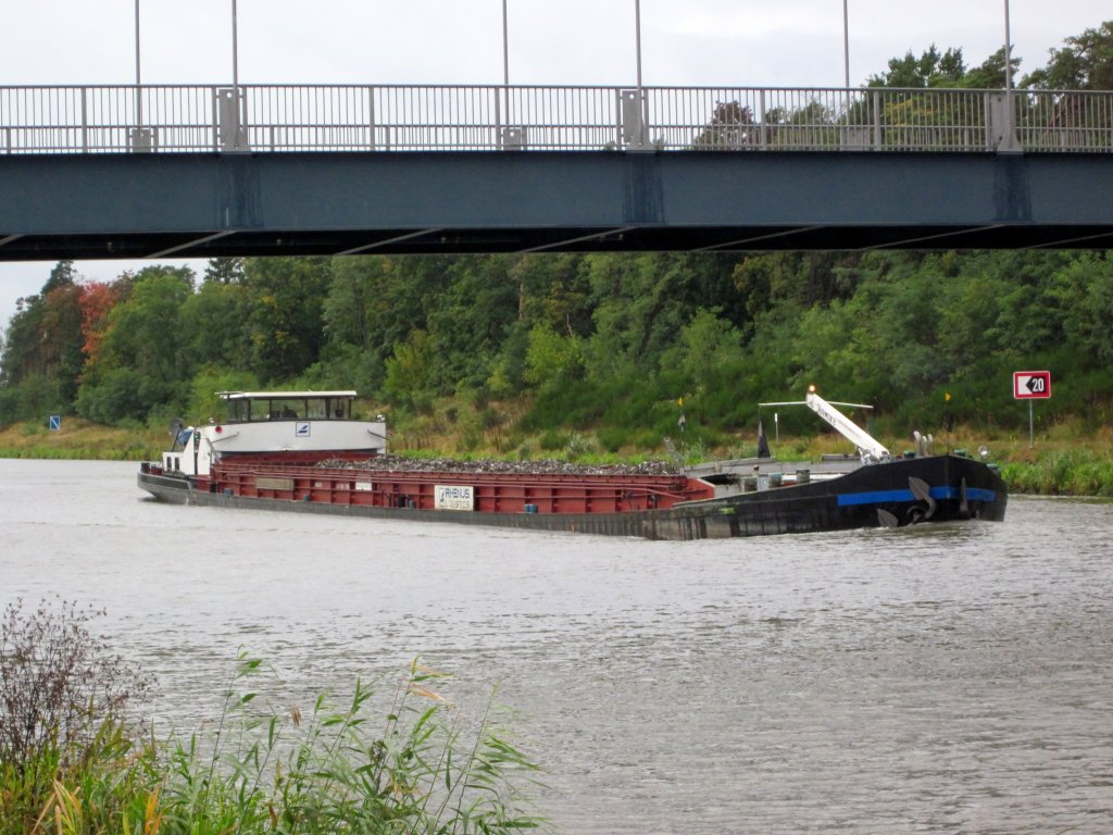 MS Harmonie , 04804310 , 80 x 9,05 , am 04.10.2012 im EHK bei Kader Schleuse auf Bergfahrt. 