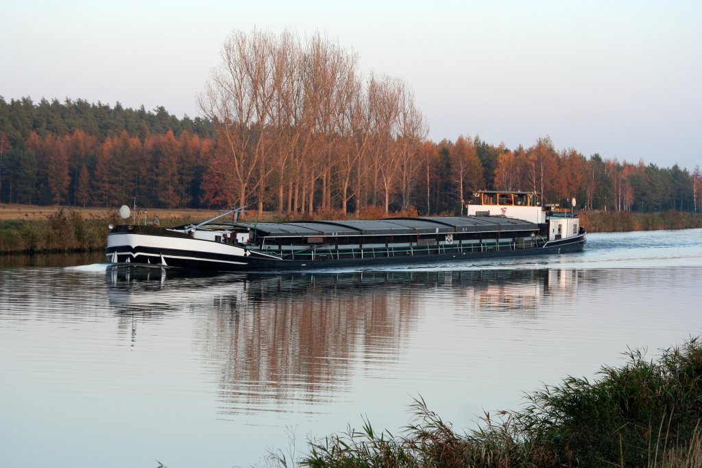 MS Havelstern , 04013290 , 70 x 7.20 , am 12.11.2011 im EHK zw. d. Schl. Wusterwitz und Kader Schleuse mit Fahrtrichtung Genthin.