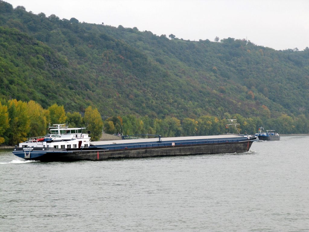 MS Intantum am 07.10.2010 auf dem Rhein zu Berg bei Boppard.