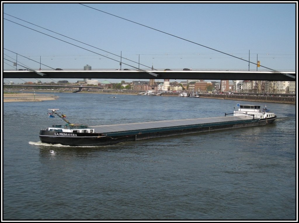 MS  La Primavera  aus den Niederlanden auf dem Rhein in Dsseldorf, aufgenommen am 10.04.2011.