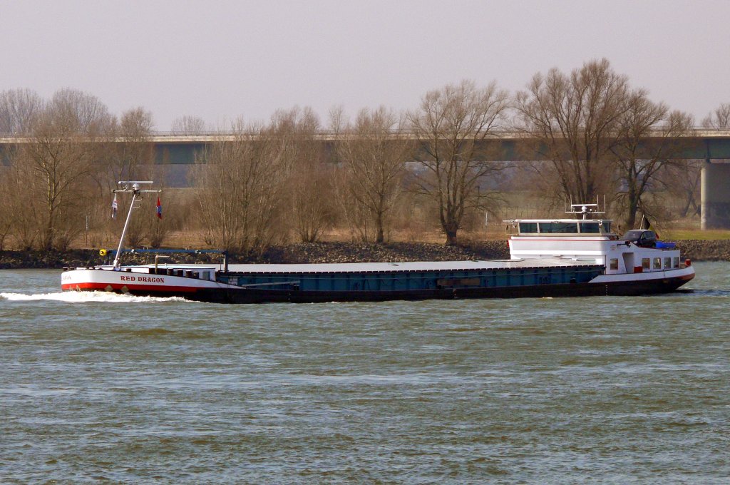 MS  Red Dragon  aus Brugge/B, ENI 6003104 im Mrz 2010 auf dem Rhein.