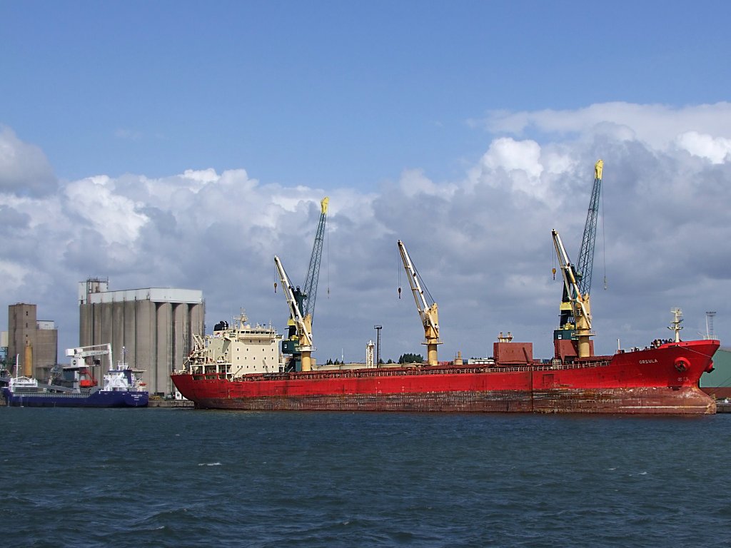 ORSULA:Bj.1996;200x23m;Tragfhigkeit:34198To;IMO:9110901, hie eigentlich frher Federal-Corsula, und wartet im Hafen von Antwerpen auf weitere Verwendung;100830