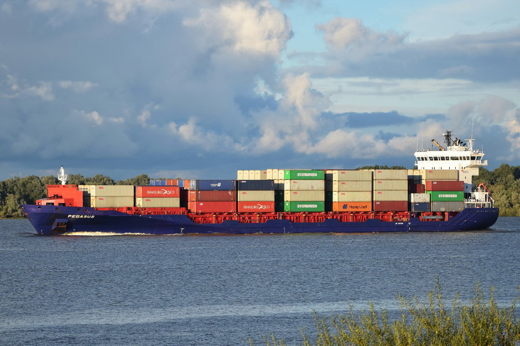 PEGASUS , Feederschiff , IMO 9387592 , Baujahr 2009 , 157.76 × 23.53m , 880 TEU , 09.09.2017 Grünendeich