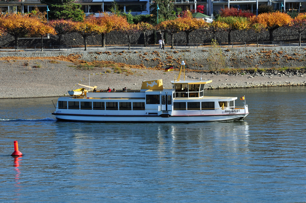 Personenfhre M.S.  Rheinnixe , die zwischen Bonn und Beuel verkehrt - 04.11.2011