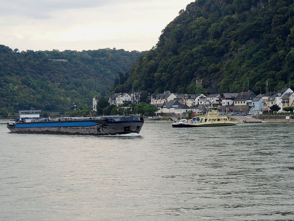 PILATOR(02327515; L=110; B=11,45mtr; 3228t; Bj.2006)kreuzt mit der Rheinfhre LORELEY VI im Bereich St.GoarSt.Goarshausen; 120829