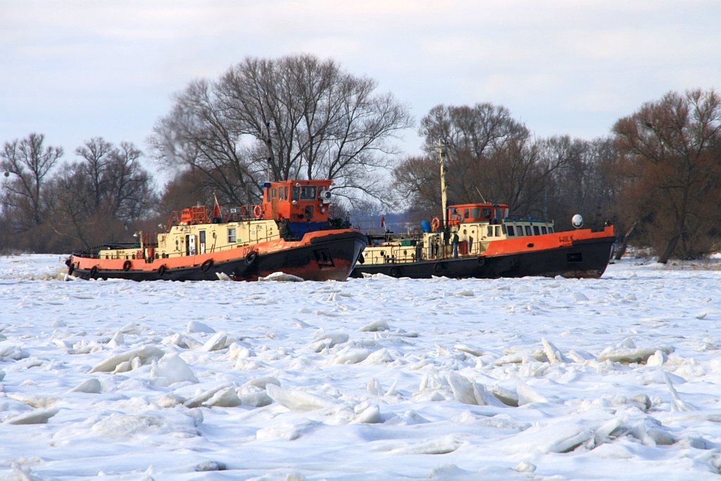 Polnische Eisbrecher Dzik & Wilk im Einsatz auf der Oder bei Gstebieser Loose am 21.02.2010