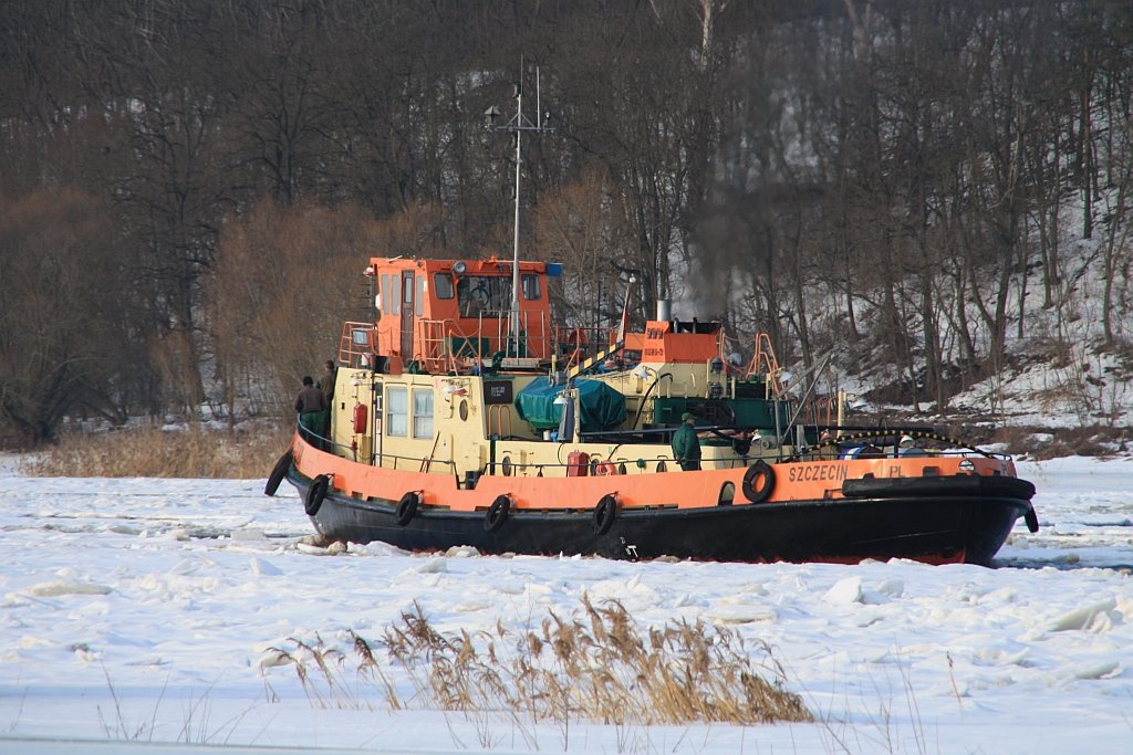 Polnischer Eisbrecher Dzik beim Eisaufbruch auf der Oder bei Gstebieser Loose am 21.02.2010