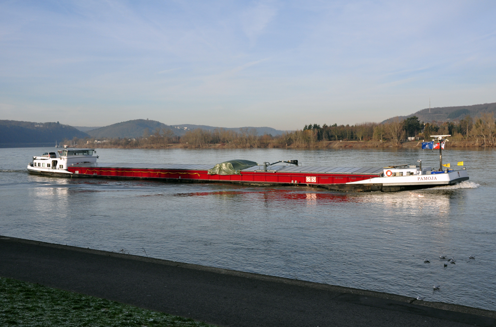 Rheinfrachter  Pamoja  querab von Remagen - 17.01.2012