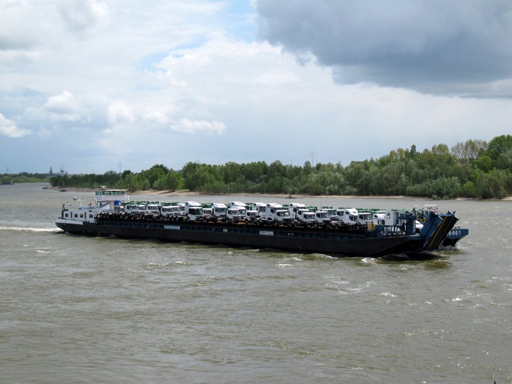 RoRo-Koppelverband MS Vera , 02104810 , 108,50 x 11,40 , am 16.05.2012 bei Rees auf Talfahrt beladen mit LKW's / Fahrgestellen der Marke MB